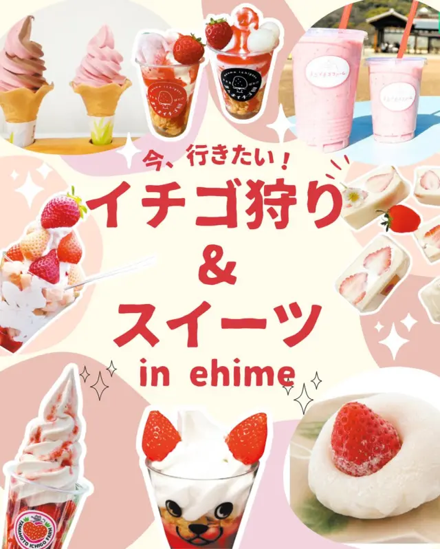 春のお出かけイチゴ狩り🍓

愛媛県内にはイチゴ狩り&イチゴスイーツが
楽しめるスポットがいっぱい✨✨

見た目がかわいいスイーツも🍨🩷
リビングえひめwebでは県内のイチゴ狩り
スポットを紹介！
プロフィール欄のリンク🔗からチェック
してください🍓🍓

※リビングまつやま1月10日号より転載
※料金システムなど詳細は各園へ
※生育状況や天候、混雑状況によっては
イチゴ狩りができないこともあるので、
必ず事前に予約、問い合わせを

#いちご狩り #松山グルメ #松山お出かけ #イチゴスイーツ 
#愛媛観光 #愛媛おでかけ