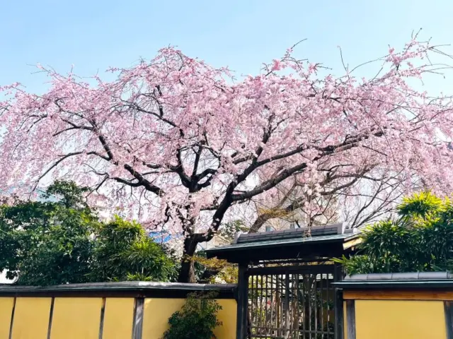 【春のおでかけに♡癒やしの絶景スポット発見！】
愛媛にこんな素敵な場所があったなんて…🌸✨
自然に囲まれて、心までふわっと軽くなる気分☀️
「ちょっと気分転換したいな」という時にぴったりなスポットをご紹介しています。

実際に訪れたレポートは、WEBで詳しく紹介中📸
春の週末のお出かけ先に、ぜひチェックしてみてくださいね💐

👇詳しくはプロフィール（@living_matsuyama）のリンクから🔗✨
https://mrs.living.jp/ehime/event_leisure/reporter/6148905

#週末おでかけ #愛媛観光 #癒しスポット #自然が好き #絶景めぐり