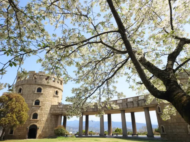 桜満開🌸🌸🌸！​
松山総合公園で春を満喫しませんか？​桜の絶景スポットや展望塔からの眺めを紹介しています。​

👇詳しくはプロフィール（@living_matsuyama）のリンクから🔗✨
https://mrs.living.jp/ehime/event_leisure/reporter/6157243

#週末おでかけ #お花見スポット #愛媛観光 #春の風景 #桜満開