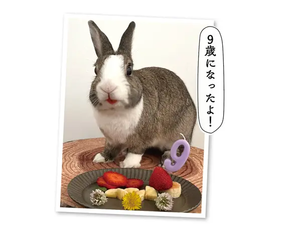 「愛しのペット フォトギャラリー」自慢のペット投稿写真も募集中！
https://mrs.living.jp/ehime/eh_staff/article/3983906

詳しくはWebサイト「リビングえひめWeb」をチェック..💡
@living_matsuyama
プロフィールにあるURLからリンクできます☻
#リビングえひめWeb
#松山
#愛媛
#ペット