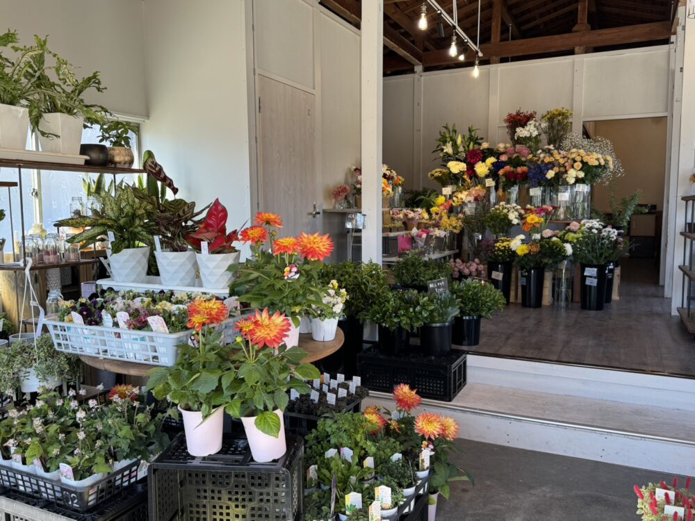 Bloom Lab.（ブルームラボ）